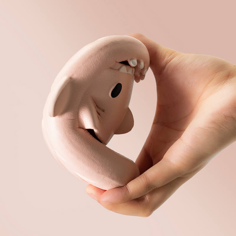 The Original Shark Slides - SHARKY'Z™️ Kids